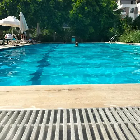 Daire Begonvil Evleri Antalya